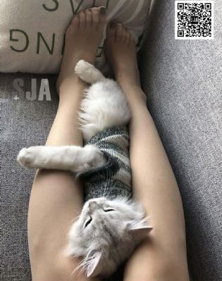 后宫露营第8季全集_4K完整在线观看