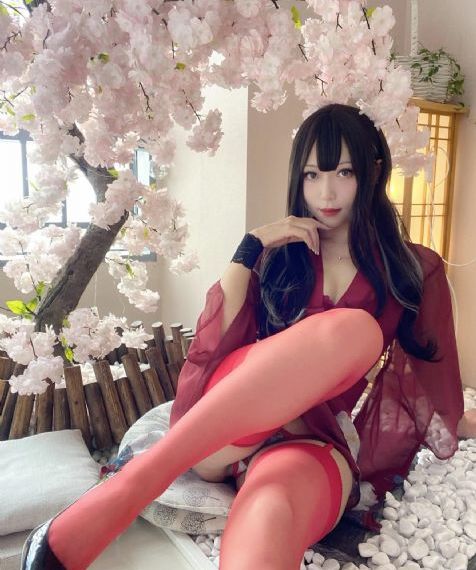 潜入搜查员_BD在线手机播放
