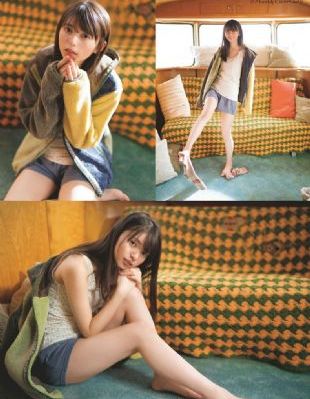 完美搭档2_蓝光完整版观看