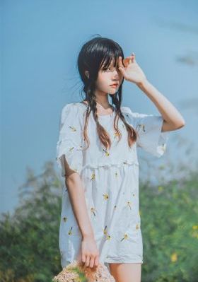 视频二区在线播放_DVD超清免费观看